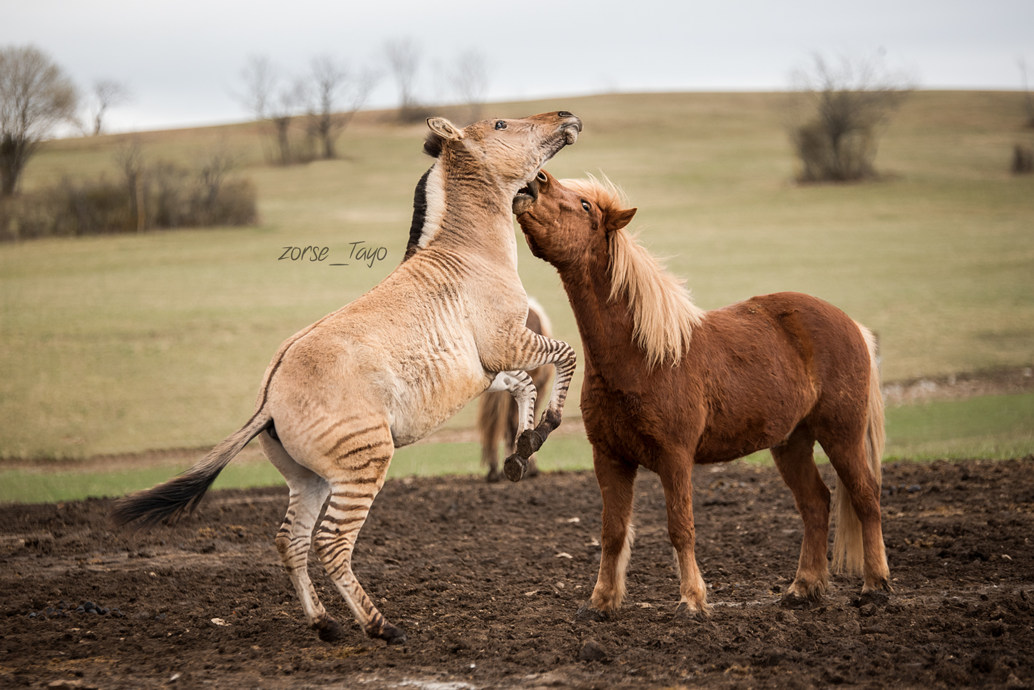 DSC_9281_web